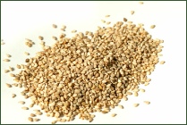 Sesame Seeds