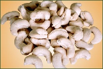 Cashew Nuts