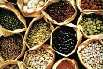 Beans and Seeds